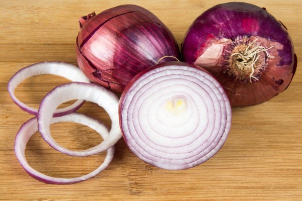 Hydraruzxpnew4af onion com